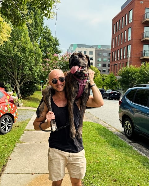 a61772b4-5ce9-4822-a180-287f843d1cda